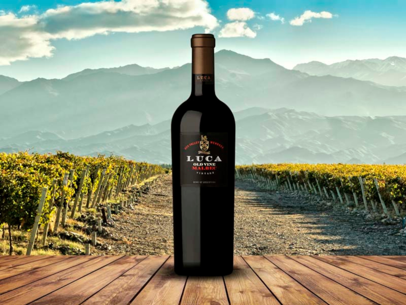 Product image for Luca Old Vines Malbec