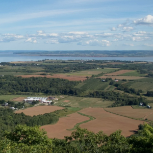 Product image for Moonrise Ridge - Wild Blueberry Cider