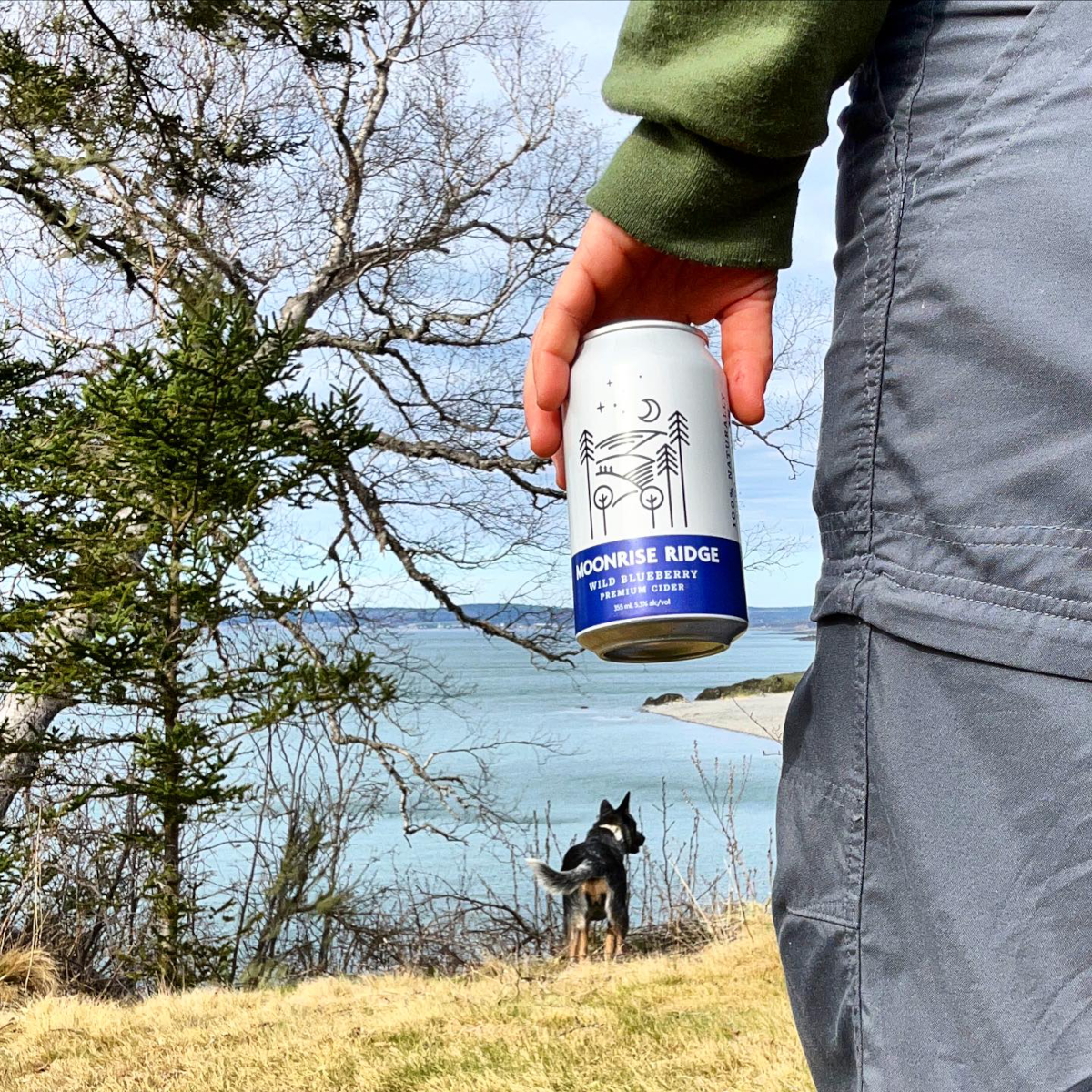 Product image for Moonrise Ridge - Wild Blueberry Cider