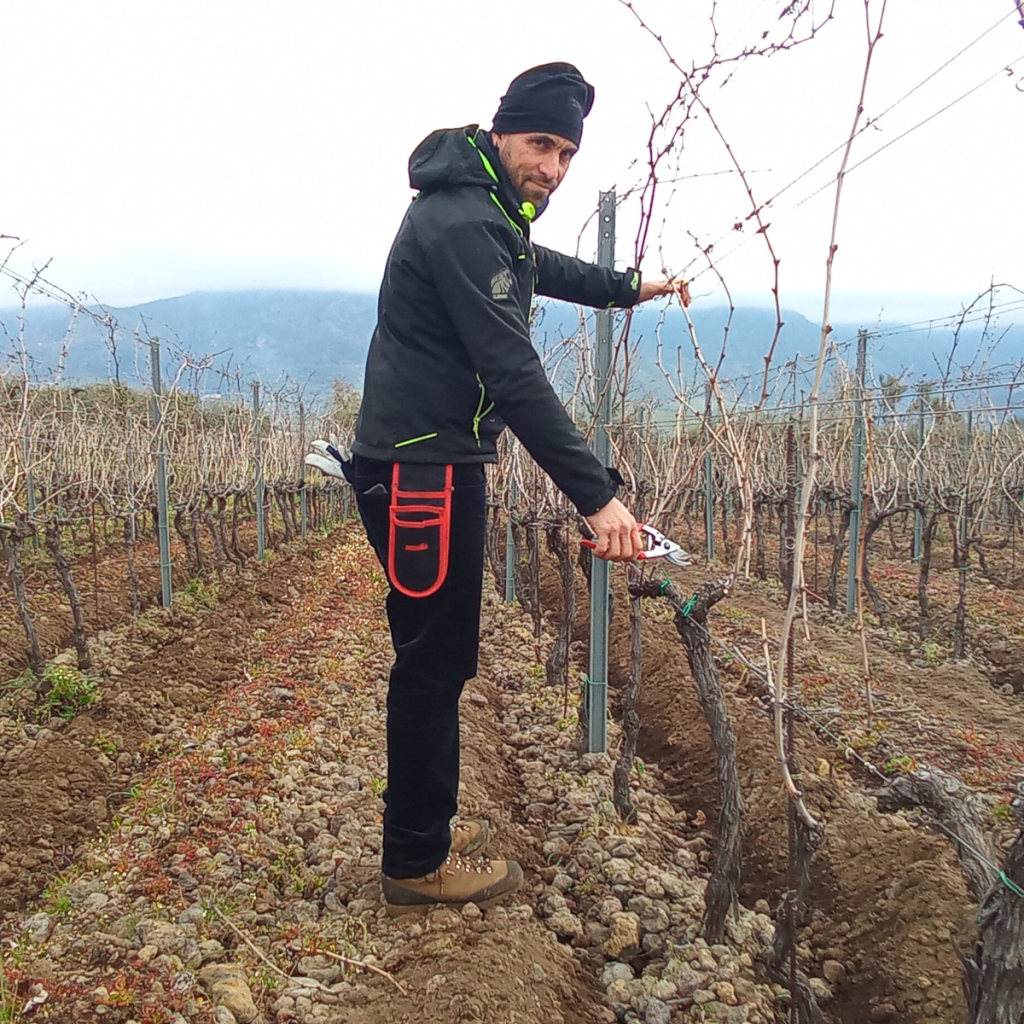 Product image for Terre Nere Moganazzi Etna Rosso