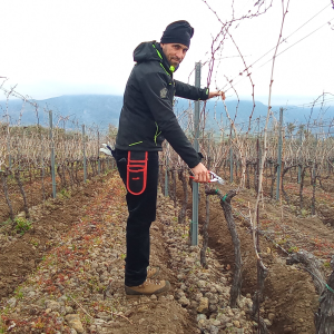 Product image for Terre Nere Moganazzi Etna Rosso