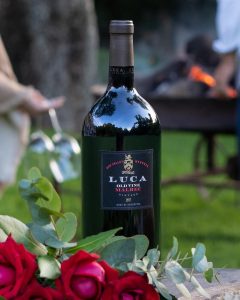 Product image for Luca Old Vines Malbec