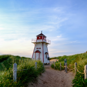 Product image for Lone Oak Brewing - Vodka Soda Mixed 12pk