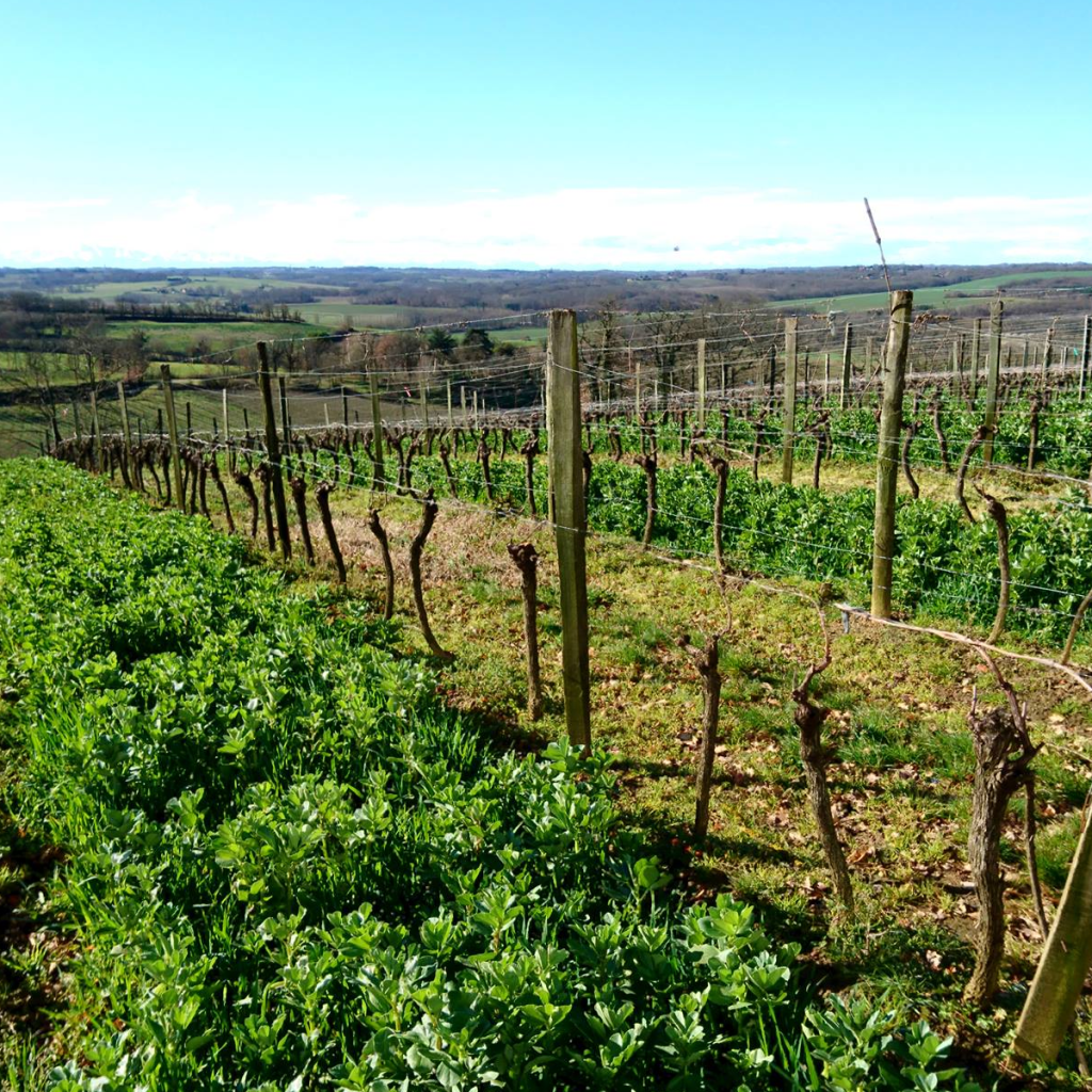 Product image for Haut Marin Bas Armagnac VSOP