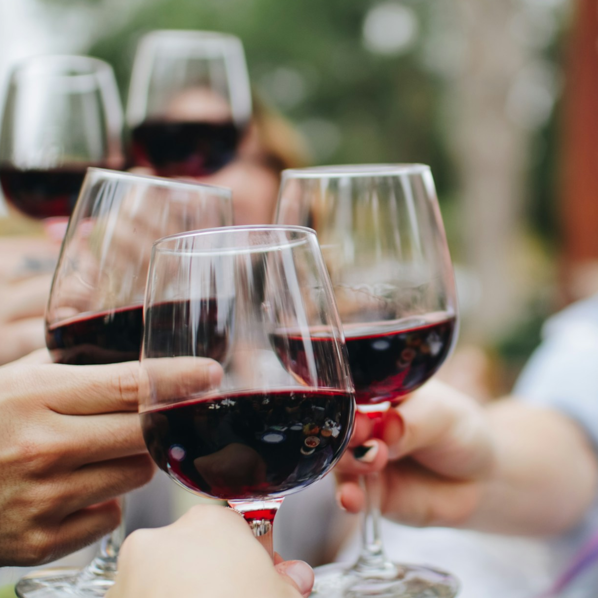 Product image for La Portera La Pinada Bobal