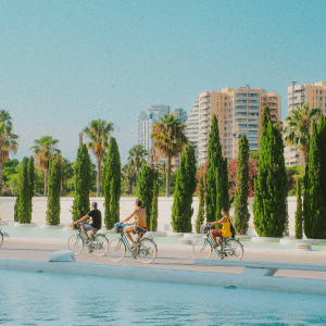 Product image for La Portera La Pinada Bobal