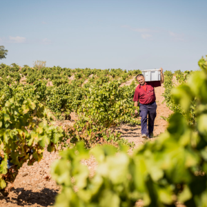 Product image for Bodegas Care Garnacha Blanca Nativa