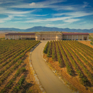 Product image for Bodegas Care Garnacha Blanca Nativa