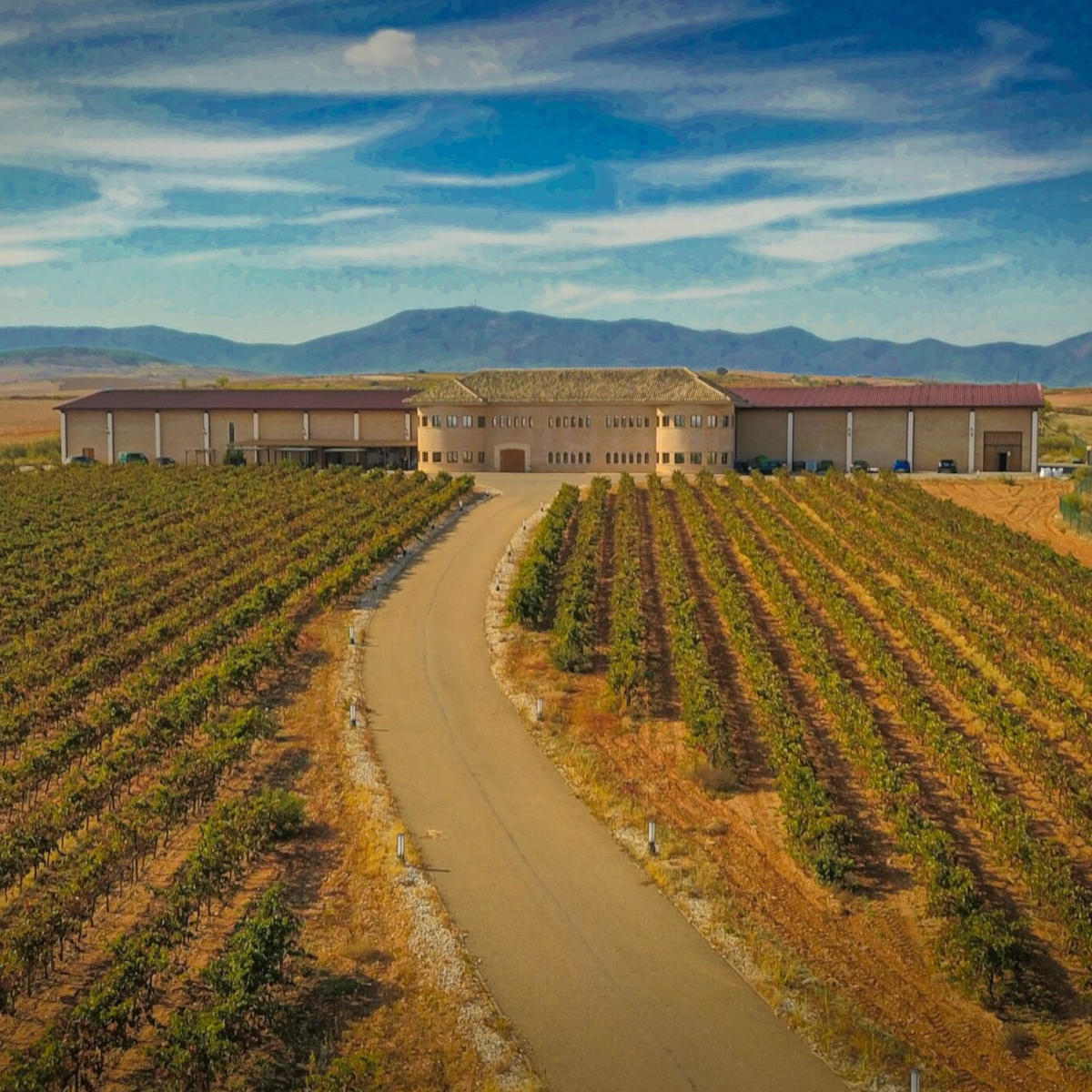 Product image for Bodegas Care Garnacha Blanca Nativa