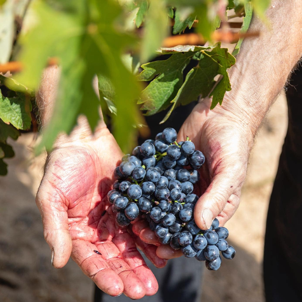 Product image for Casajus Finca Dona Len