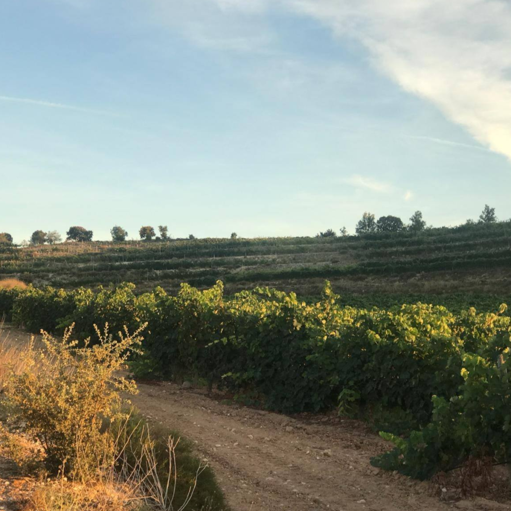 Product image for Casajus Finca Dona Len