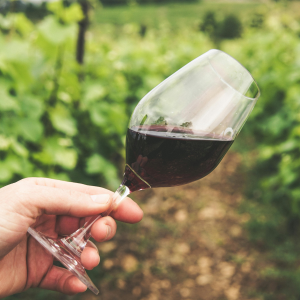 Product image for Bodegas Care Garnacha Nativa