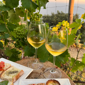 Product image for La Portera Tardano Blanco