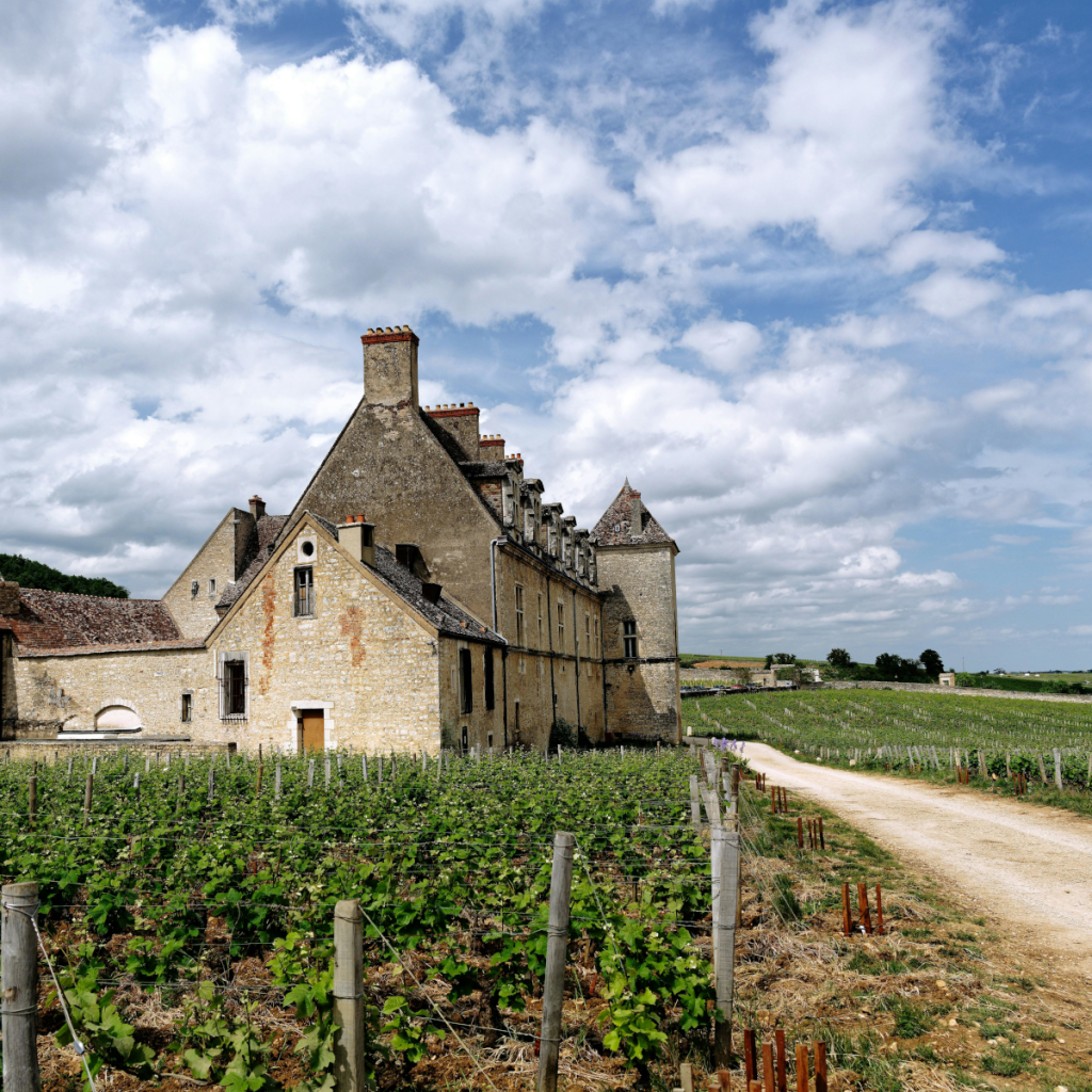 Product image for Bachelet-Ramonet Chassagne-Montrachet 1er Cru La Grande Montagne