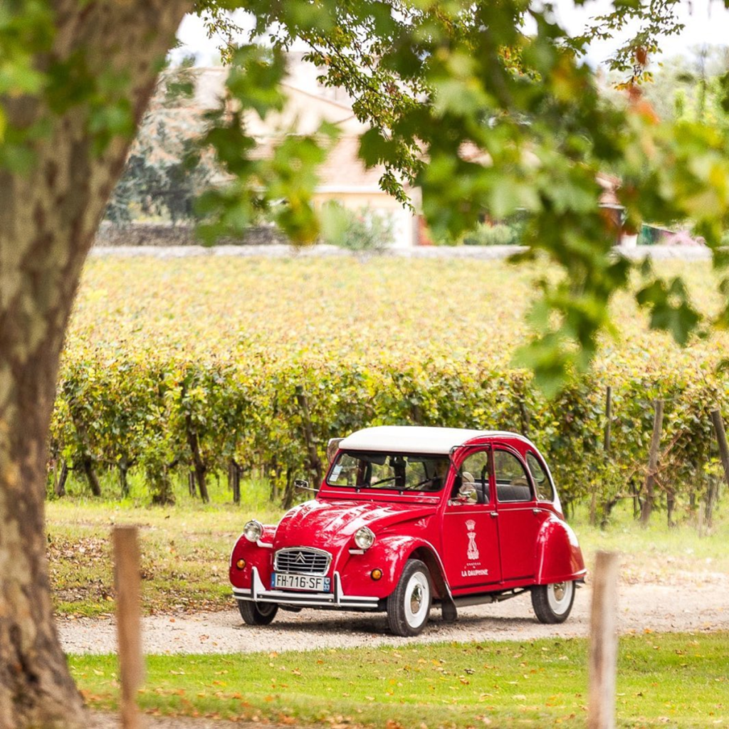Product image for Chateau De la Dauphine AOP Fronsac