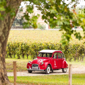Product image for Chateau De la Dauphine AOP Fronsac