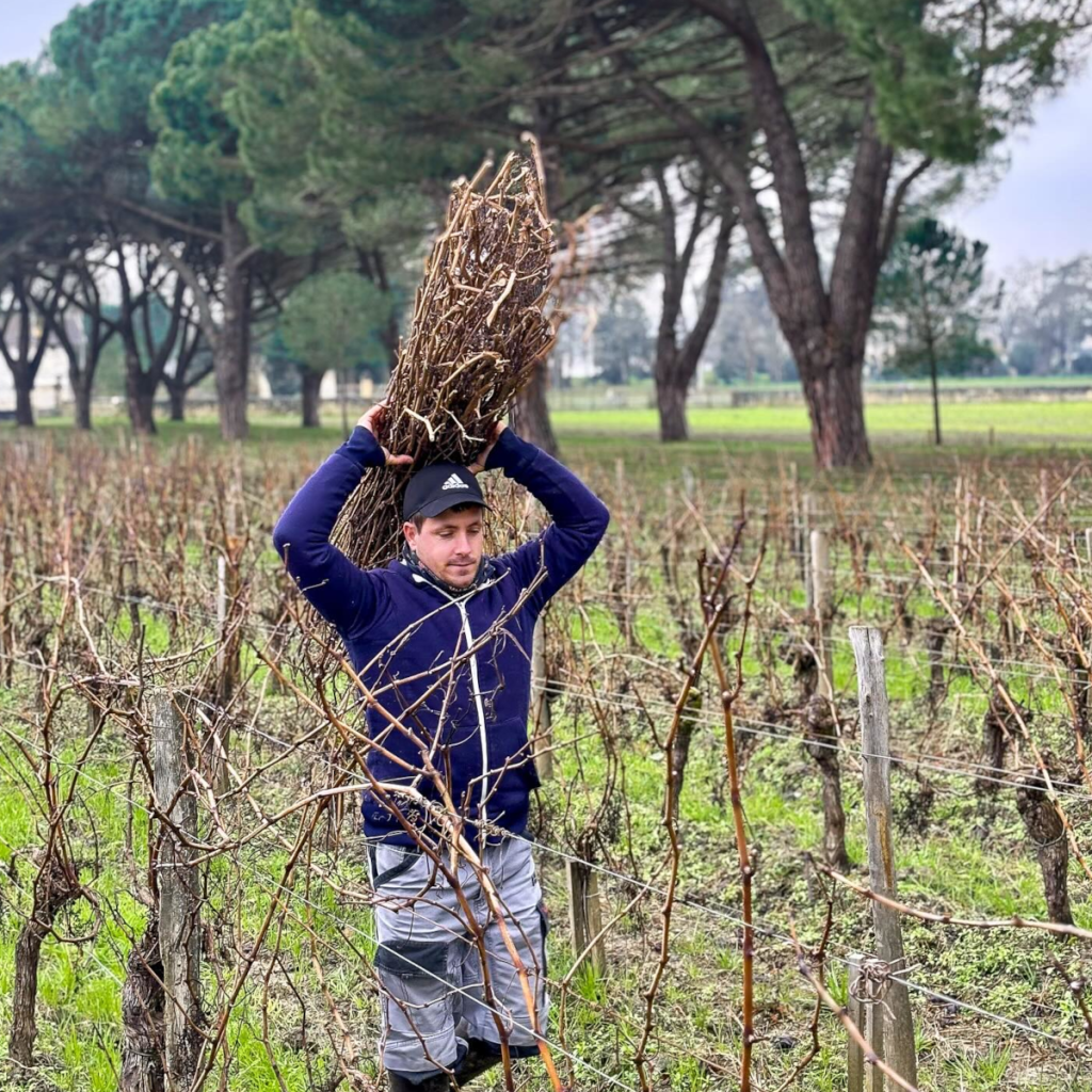 Product image for Chateau De la Dauphine AOP Fronsac