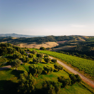 Product image for ColleMassari Montecucco Irisse