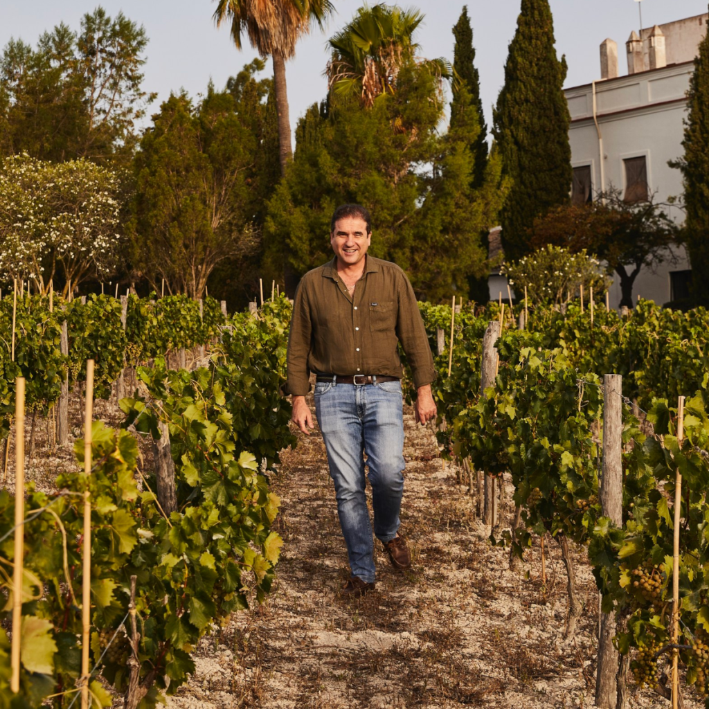 Product image for Alberto Orte A Portela Godello