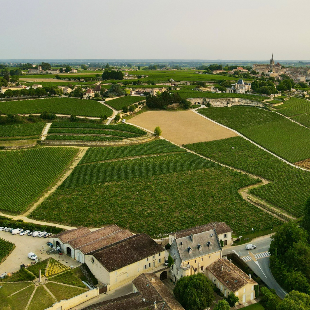 Product image for Chateau Puyblanquet AOC Saint Emilion Grand Cru