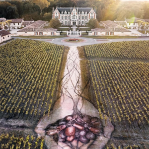 Product image for Chateau Cantenac Brown AOC Margaux