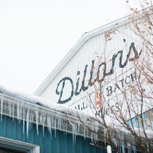 Product image for Dillon's Distillery - One Pour Dry Gin Martini