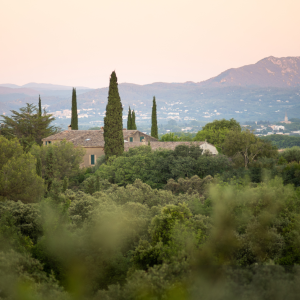 Product image for Grand Vins Mas de Daumas Gassac Blanc
