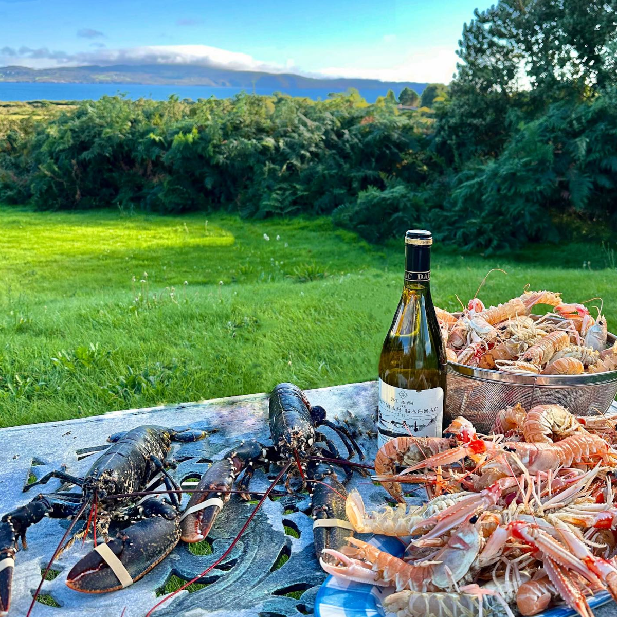 Product image for Grand Vins Mas de Daumas Gassac Blanc