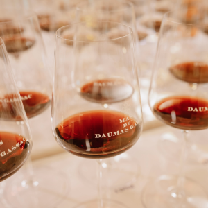 Product image for Grand Vins Mas de Daumas Gassac Rouge