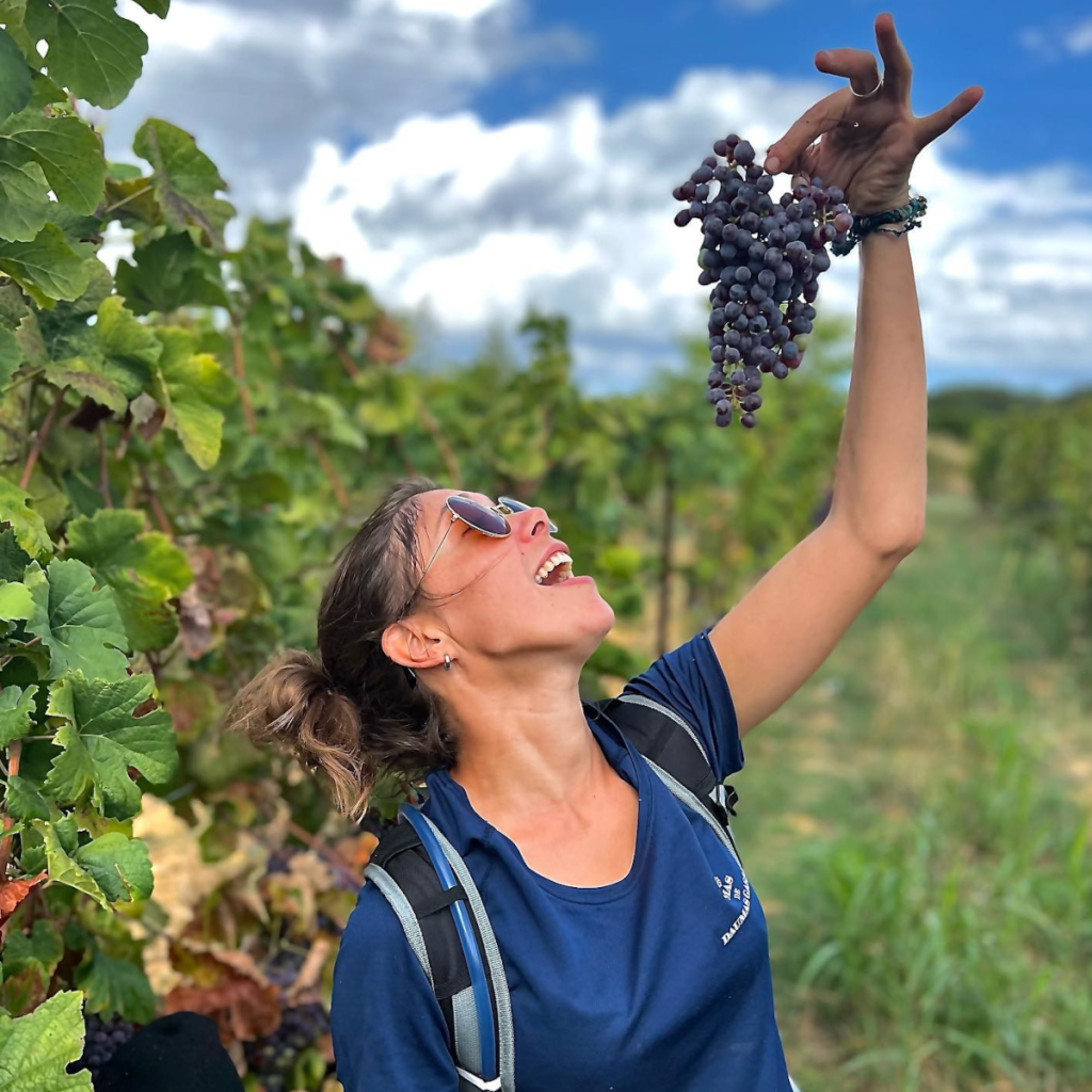 Product image for Grand Vins Mas de Daumas Gassac Rouge