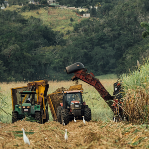 Product image for Worthy Park 109 Dark Rum