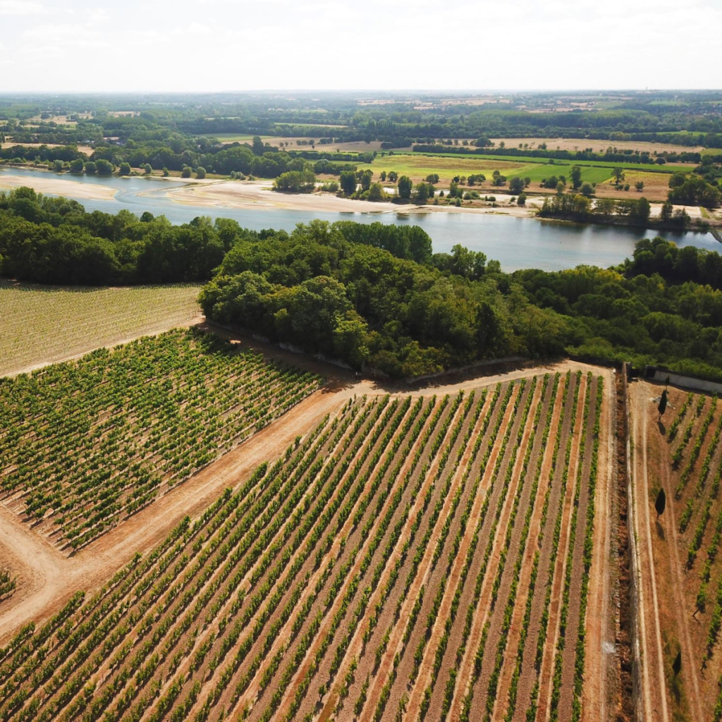 Product image for Chateau d'Epire Savennieres Le Parc