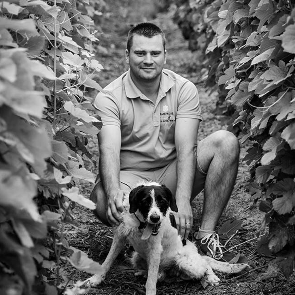 Product image for Domain Lagille Au Fils du Temps 2019