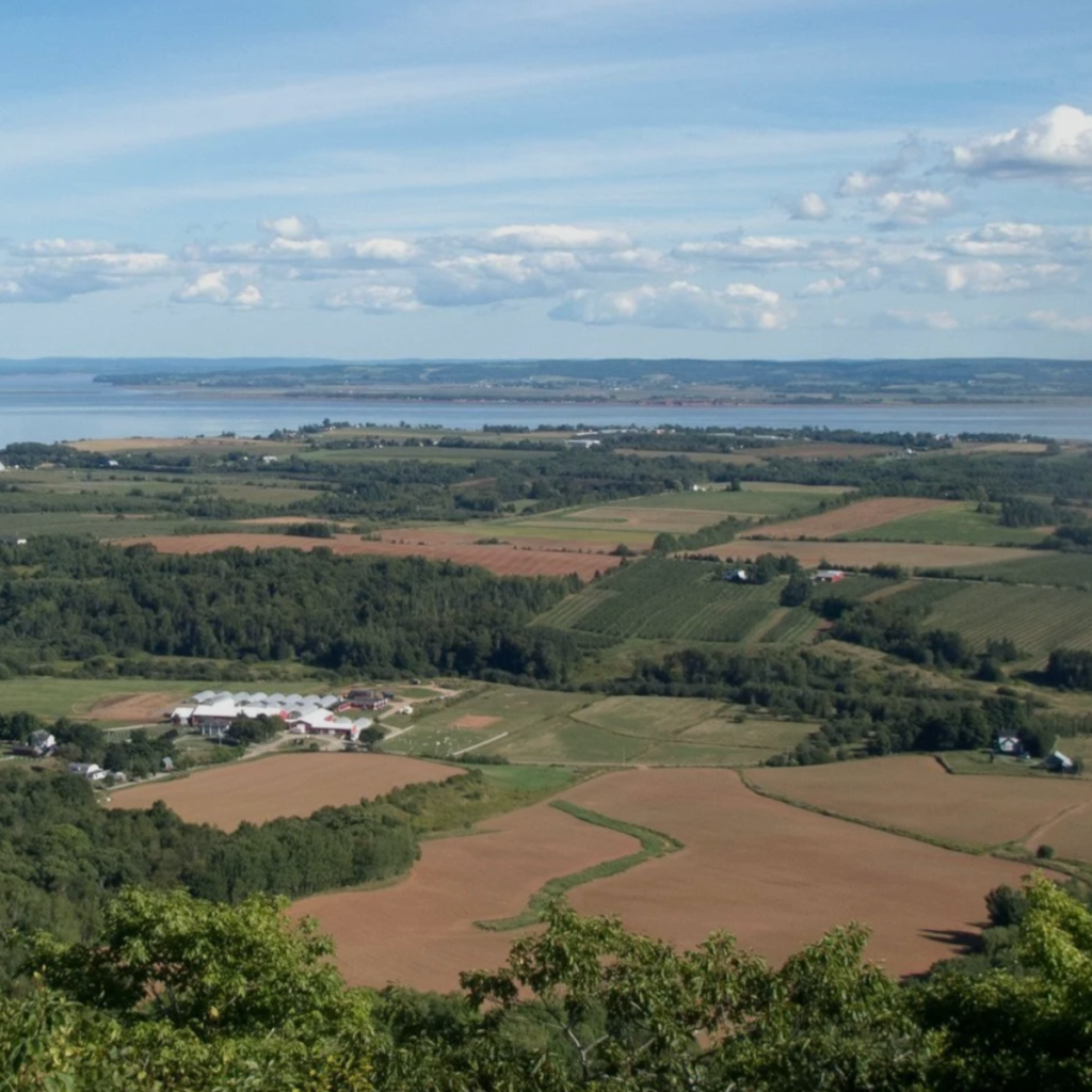 Product image for Moonrise Ridge - Oceancrisp Honeycrisp Cider