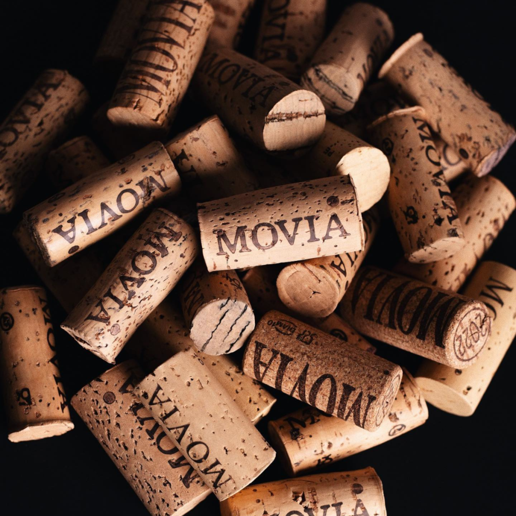 Product image for Movia 