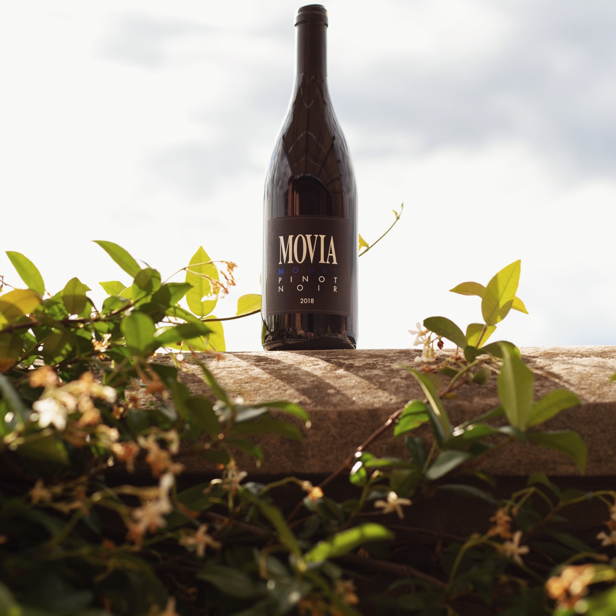 Product image for Movia 