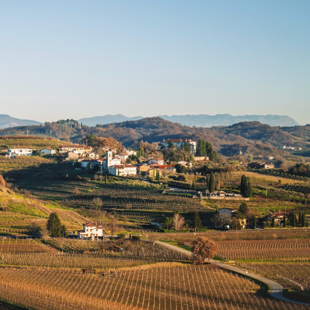 Product image for Movia 