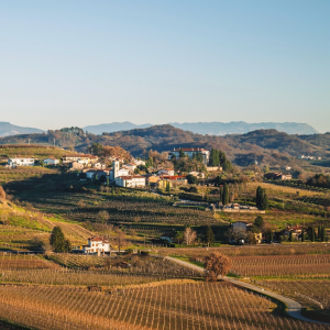 Product image for Movia 