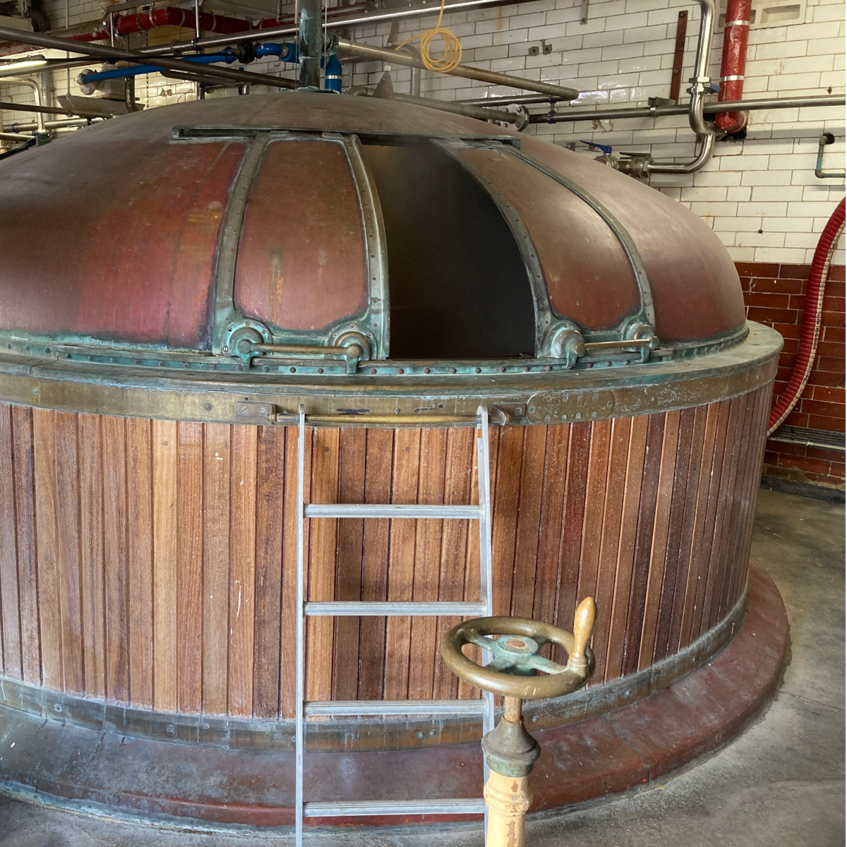 Product image for Samuel Smith - Yorkshire Stingo Ale