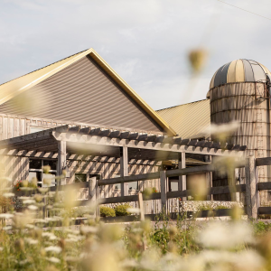 Product image for Willibald Farm Distillery & Brewery - Gingerbread Gin