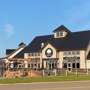 Product image for Lone Oak Brewing - Phancy IPA