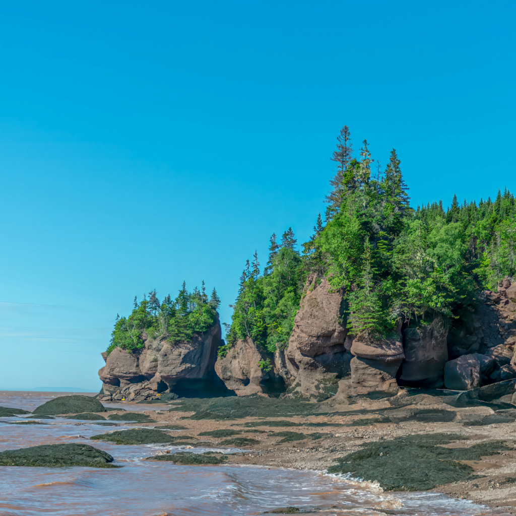 Product image for Bay of Fundy Brewing Co. - Blomidon Red Ale