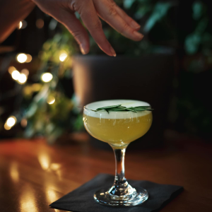 Product image for Compass Boston Tree Gin