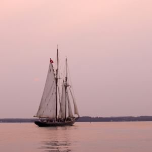 Product image for James Roue Beverage Company Rum-Nova Brule