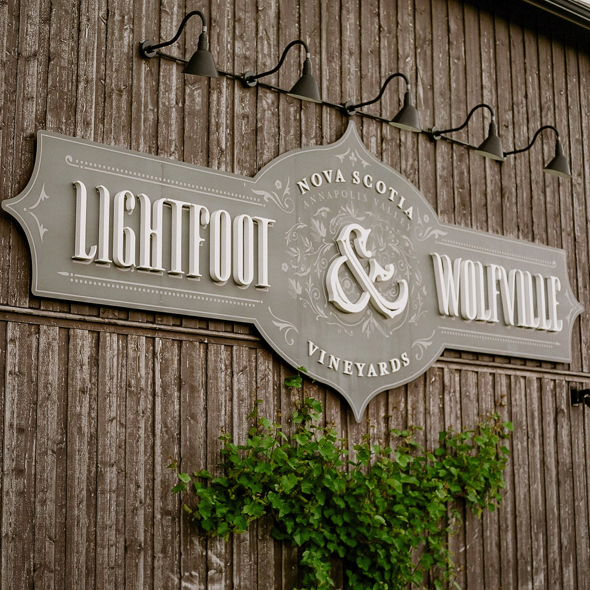 Product image for Lightfoot & Wolfville 2017 Brut Magnum