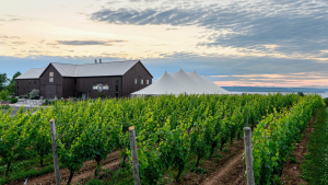 Product image for Lightfoot & Wolfville Gamay