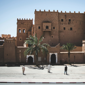 Product image for Domaine des Ouled Thaleb Syrocco Syrah