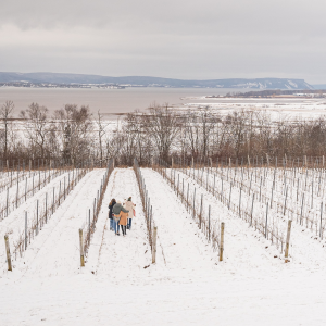 Product image for Lightfoot & Wolfville 2017 Brut Magnum
