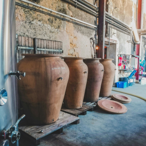 Product image for Chateau Fonplegade St Emilion Grand Cru 2021