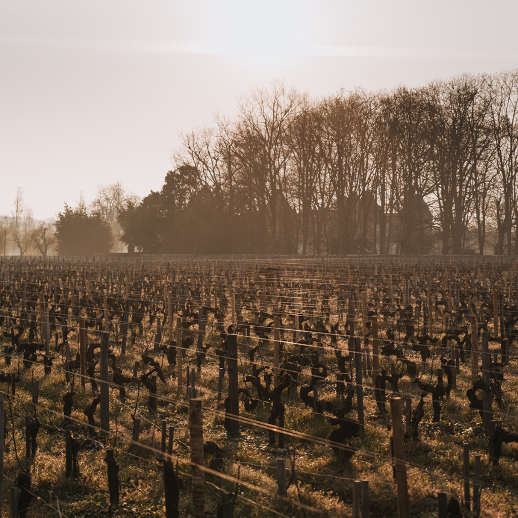 Product image for Chateau D'Issan Margaux 2019